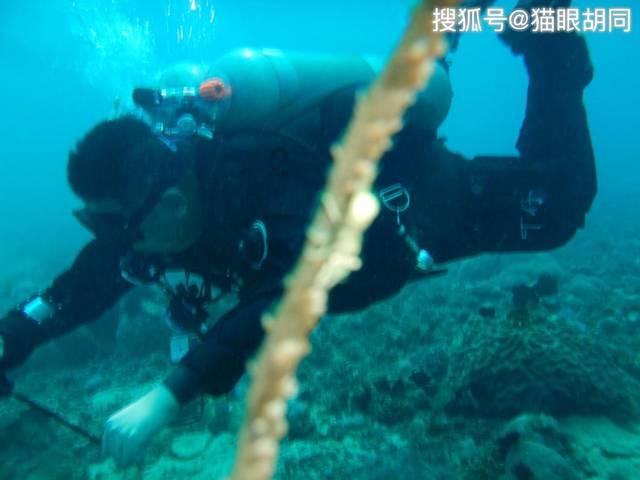 巧虎足球传送门